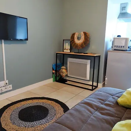 Dauphin Saint Gilles Croix De Vie * Les Bussolleries