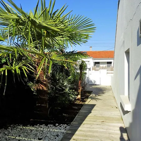 Dauphin Saint Gilles Croix De Vie Les Bussolleries