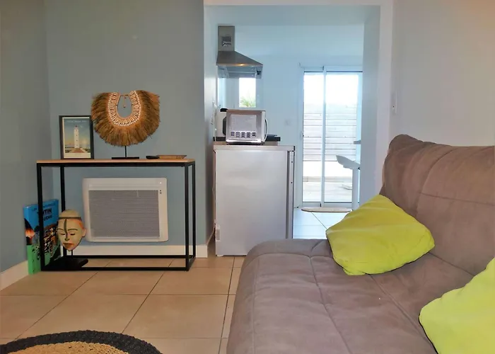 Dauphin Saint Gilles Croix De Vie * Les Bussolleries