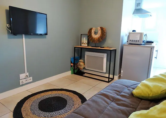 Dauphin Saint Gilles Croix De Vie * Les Bussolleries